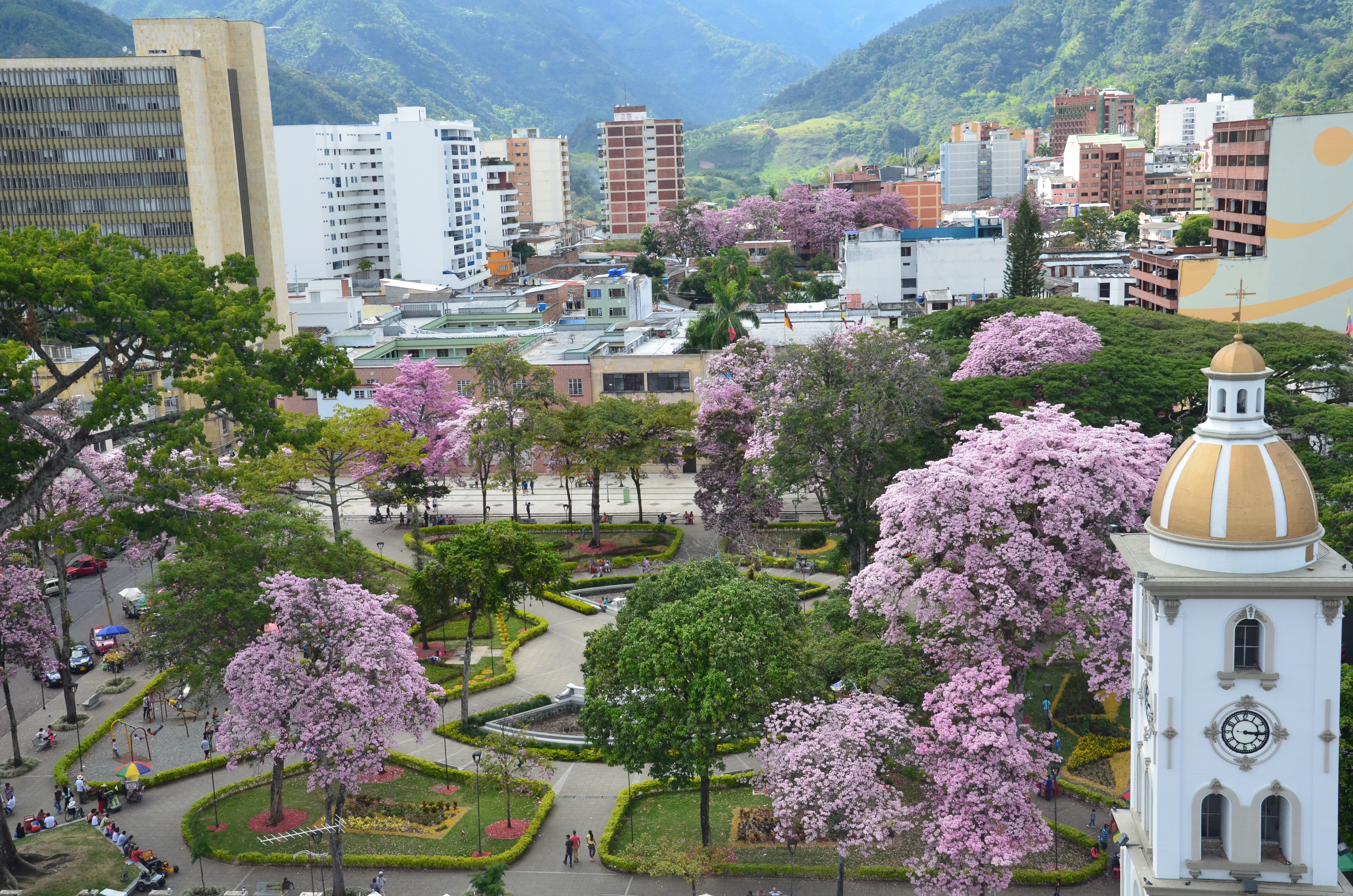 Foto: cortes&iacute;a C&aacute;mara de Comercio de Ibagu&eacute;